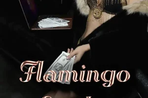 Вебкам студия Flamingo в Новосибирске