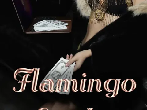 Вебкам студия Flamingo в Новосибирске
